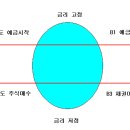 앙드레 코스톨라니의 달걀에 대해 알려주세요~ 이미지