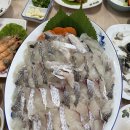 파랑도횟집 | [제주도] 제주도민 추천 맛집, 제주 바다를 보며 먹을 수 있는 "파랑도횟집"