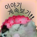 전생에인연펫 이미지