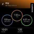 파틀렉 이미지