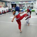 비산태권도체육관 이미지