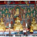 대 덕 사 이미지