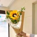 대신갈개 이미지