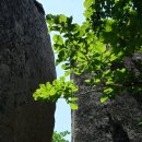 경북 문경 대야산(930.7m) 산행 (1) 이미지