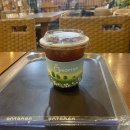 메디라이즈 | 250523 라이즈 Fly Up 뮤직뱅크 사녹후기