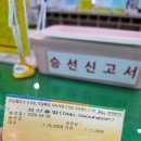1편[성산항에서 우도 천진항으로, 우도 전기자전거 렌트, 우도 소품샵 우도i, 우도카페추천, 홍조단괴...