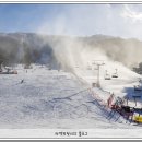 현자네 맛집 이미지