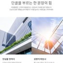 스마트시스템 | 배민리뷰 + 리뷰플랜, AI가 대신 관리해주는 스마트한 리뷰 관리 시스템 후기