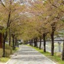 영동초등학교 앞 이미지