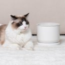 어바웃웰 이미지