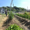 금용농장 이미지