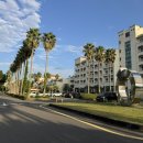 금호세탁 | 돌아기와 제주 투룸 숙소) 서귀포 금호 제주 리조트 스위트 양실