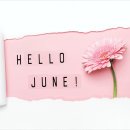 아이오아이 래쉬