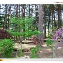 푸른숲황토방 이미지