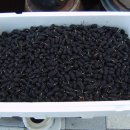 창우농장 이미지