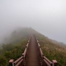 광천정기시장 이미지