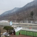 운길산흑염소 이미지