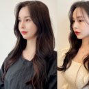 와이오유(Y.O.U) 이미지