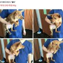 부산농장 이미지