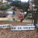 잔디휴가중 이미지