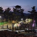 수련원야영장 이미지