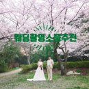 차밍헤어스튜디오 | 스튜디오 웨딩 촬영 소품 추천 직접 준비 리스트 비용 다이소