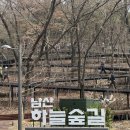 하늘길카페 | 서울 봄나들이 남산하늘숲길 산책로 짧은 후기(feat. 남산돈까스, 카페 퍼즐 & 마뫼)