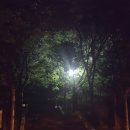 [등산]와룡산 야간산행 5월31일(화)저녁8시20분 (대취모 대구등산모임) 이미지