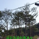 성산면복지회관 이미지