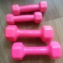 자세 개선 팔라테스 이미지