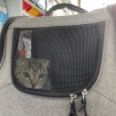 율곡동물병원 이미지