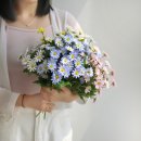 공간-조화 이미지