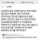 일본해군 항모에 일장기는 폭격 유도 표식이 아님 이미지