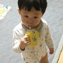 카페시옫 | 주간기록 1