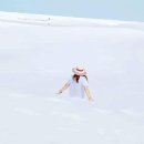 뉴멕시코의 하얀 모래사막 이미지