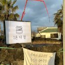 무궁화목장 | 제주 여행 : 협재 맛집 수우동, 카페 귤한가 스냅, 성이시돌목장, 한림수협 회포장, 스타벅스 제주협재점
