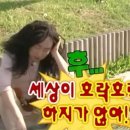 르베지왕 여의도공간