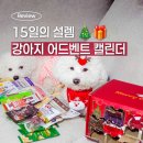 2025년 패브릭 캘린더 만들기 | 2025 견생냥품 강아지 어드벤트 캘린더, 다견가정 연말 선물 솔직후기