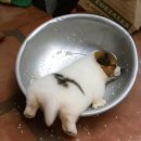 산우물(남)경로당(휴지) | 生きている愛すべき日々よ