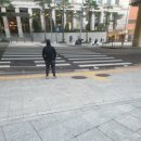 수진 태양광 | 횡단보도 안전봉 설치 보수