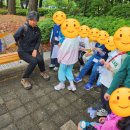 부엉이어린이도서관 이미지