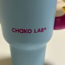 1050 | 차코랩 텀블러 1050ml 블루 실사용 후기 l 이거 쓰고 물 섭취량 두 배 됨…