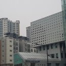 왕십리도선동주민센터 이미지