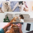 성보헬스 이미지