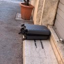 신나는 쿠키&클레이-B | 🇮🇹이탈리아 여행 로마에 왔다면 꼭! 티라미수 성지 뽐삐 pompi 방문기