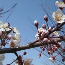 한우물농장 이미지