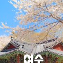 전남사 이미지