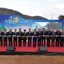 별빛야영장 이미지