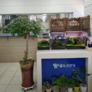 석전동272 이미지