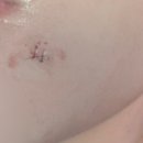 강남벨라의원 이미지